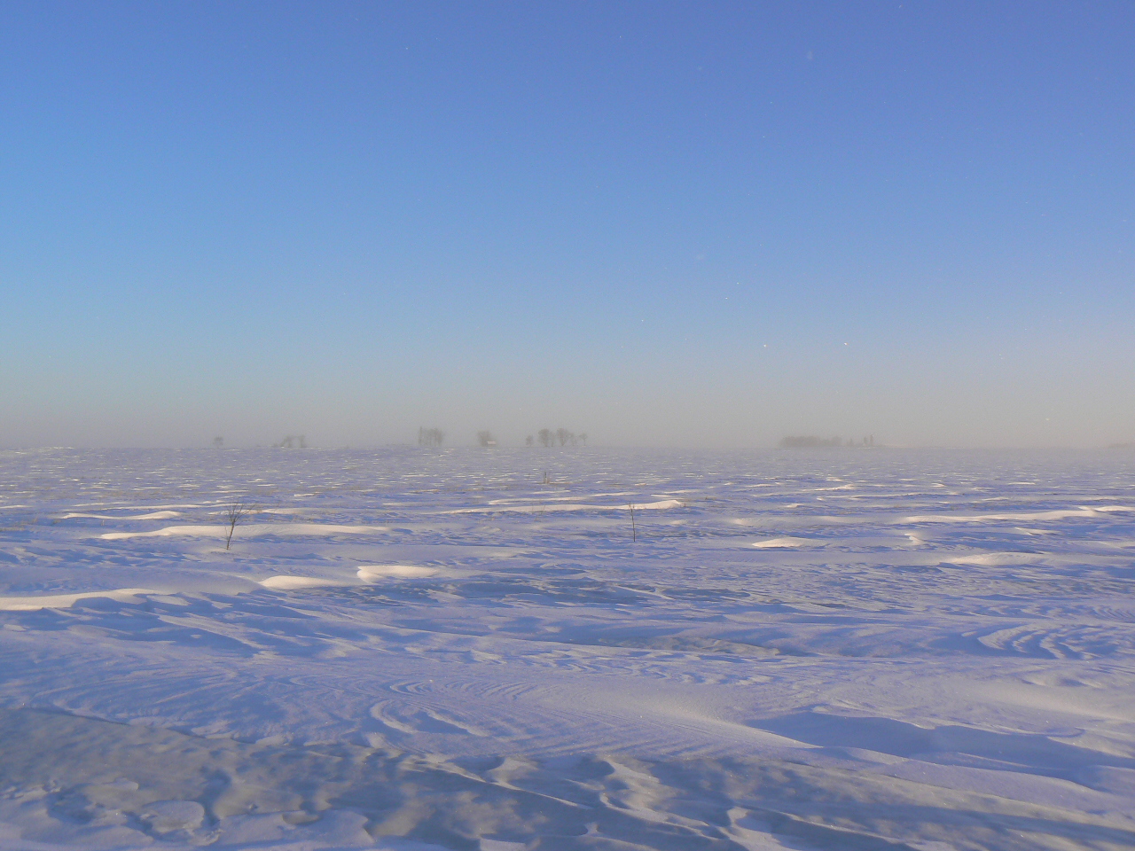 Jan 13, 2009. The lunar surface, I mean, our yard and the crystal mist hanging in the air. It sparkled.