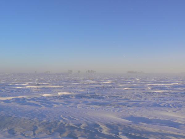 Jan 13, 2009. The lunar surface, I mean, our yard and the crystal mist hanging in the air. It sparkled.