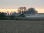 Harvest Time - October 2006