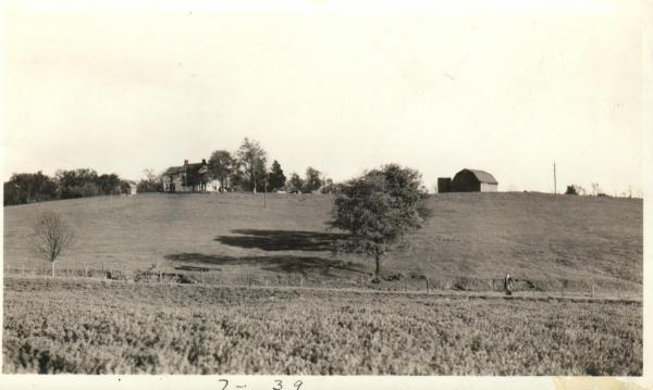 The Farm on Cook Road.