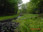 LLBD-10

Creek from Lorton Lake Road looking towards beaver dam