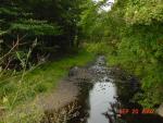 LLBD-11
Creek to beaver dam at normal summer level
