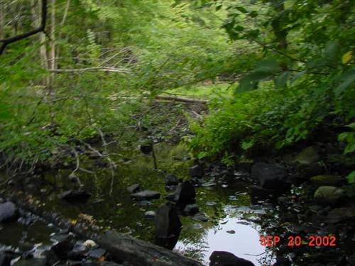 LLBD-7

Creek bed and back side of the dam