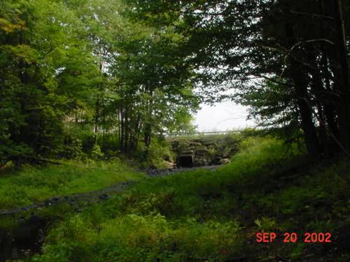 LLBD-8
Creek bed from Lorton Lake Road to beaver dam
