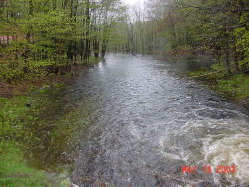 LLSP-64
Result of heavy run off from lake with beaver dam holding water back