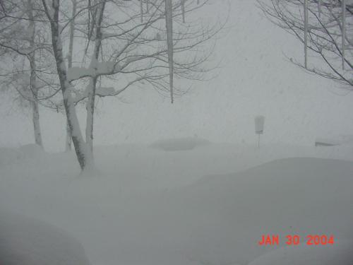 LLW-120.jpg January 29,2004 storm