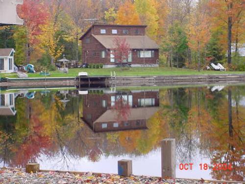Reflection-5