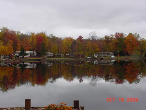 Reflection-6