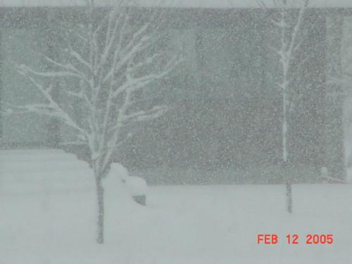 Feb.12,2005-2.jpg