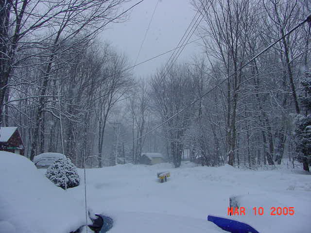 Mar. 10,2005-4.jpg