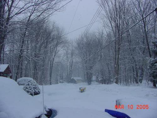 Mar. 10,2005-4.jpg
