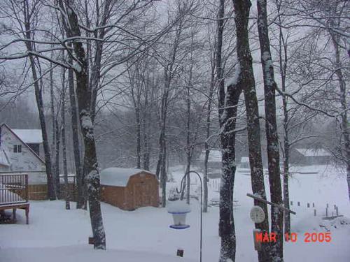 Mar. 10,2005-1.jpg