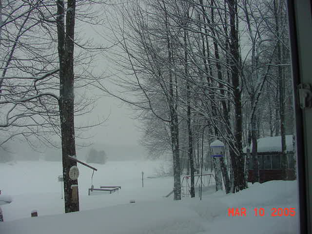 Mar.10,2005.jpg