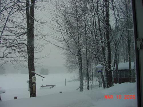 Mar.10,2005.jpg