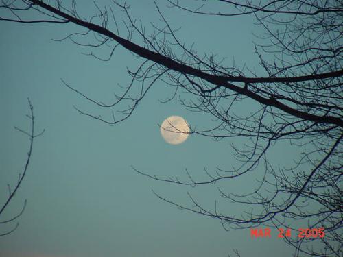 Mar. 24, 2005-608 PM.jpg