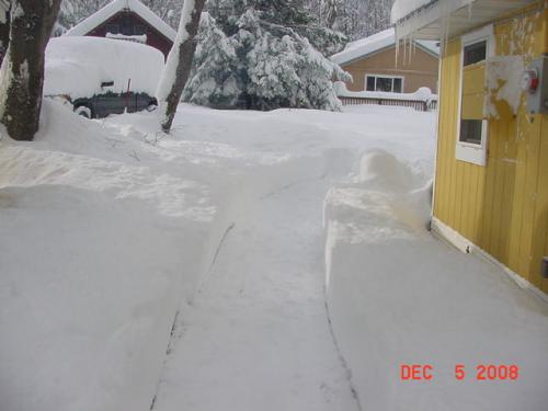 Dec 5-08-4