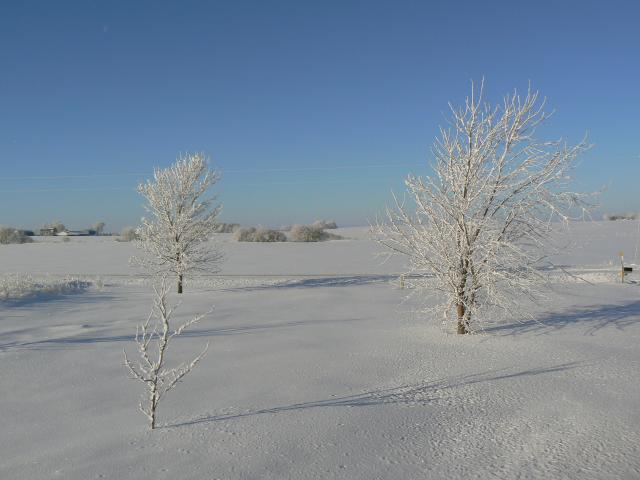 Hoar Frost covers everything