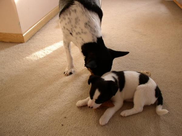Buster playfully nudges Buffy