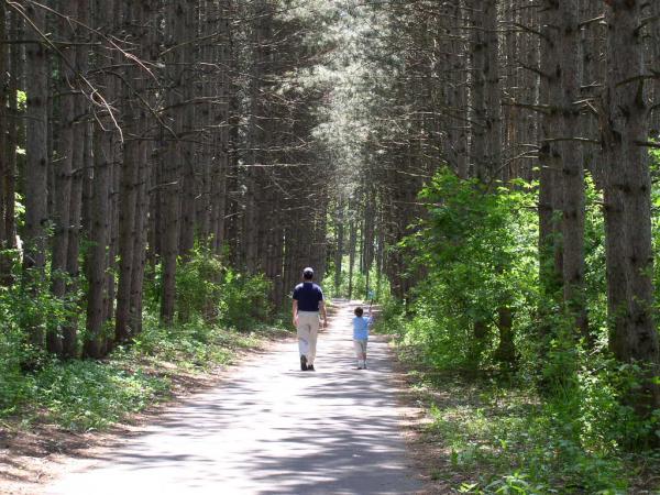 Tom calls this the "tunnel of trees." This is him and Jay walking through. Click on the picture to see the original re