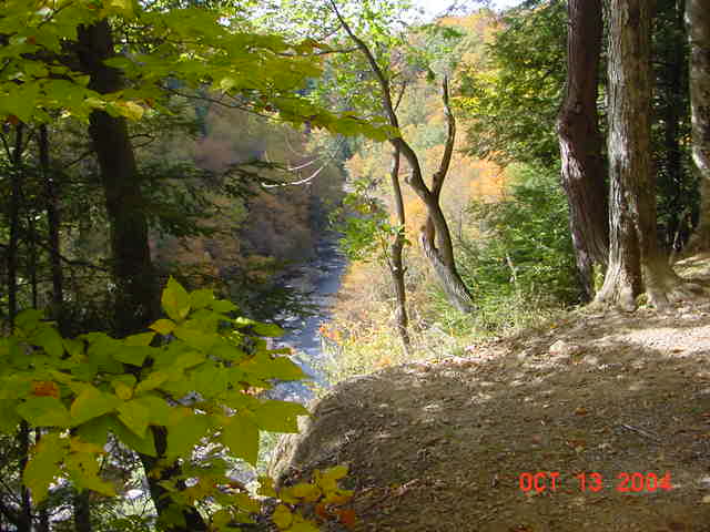 River from Trail