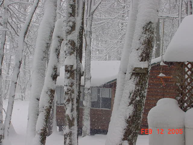 Feb.12,2005-1.jpg
