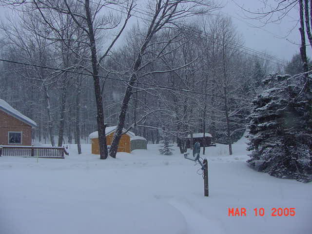 Mar. 10,2005-2.jpg
