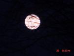 Full Moon 3.25.2005-1.jpg