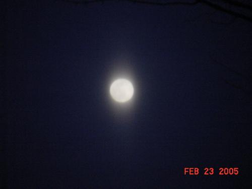 Moon-7.jpg