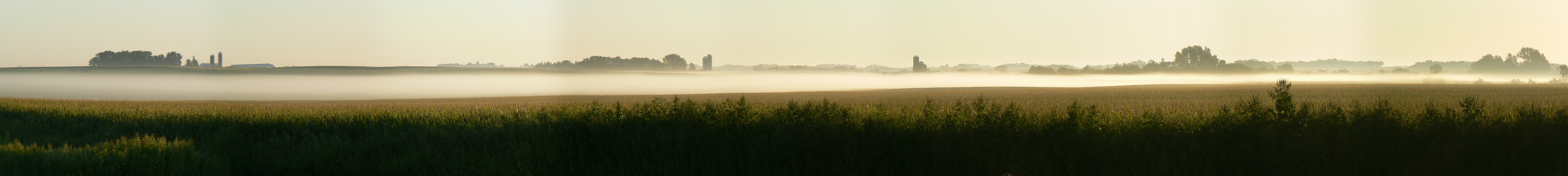 Morning fog panorama