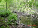 LLBD-3
Full length of beaver dam